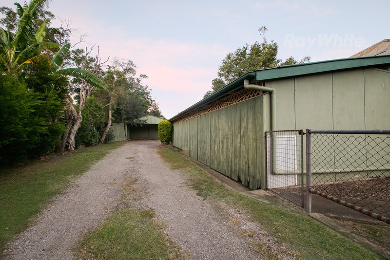 Photo - 6 Vineyard Street, One Mile QLD 4305 - Image 17