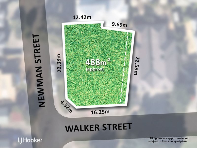 6 Walker Street, Magill SA 5072