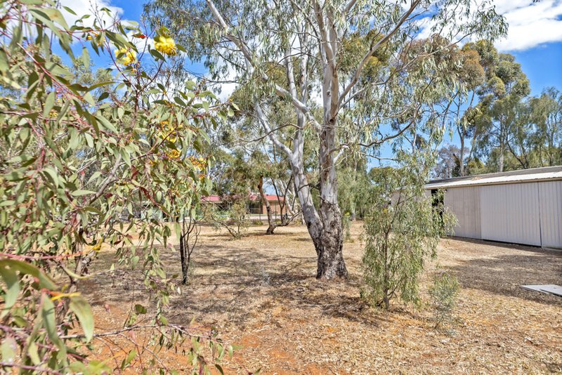 Photo - 6 Ward Belt Road, Gawler Belt SA 5118 - Image 24