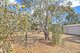 Photo - 6 Ward Belt Road, Gawler Belt SA 5118 - Image 24