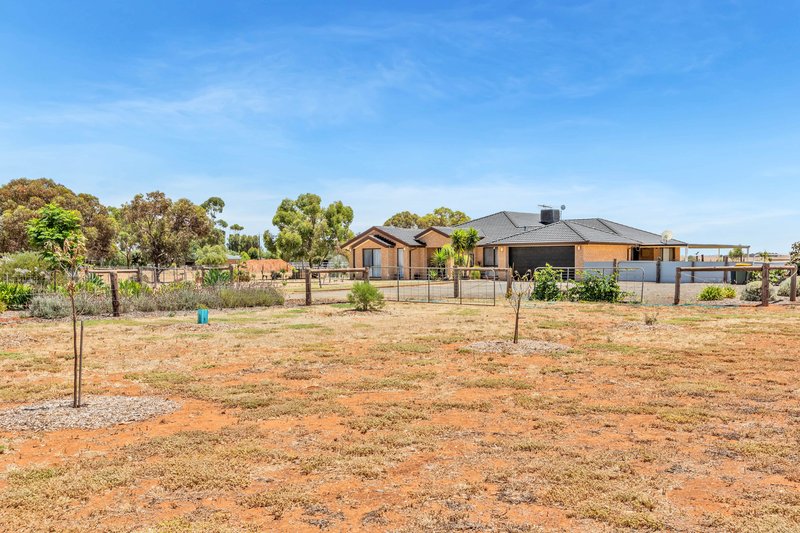 Photo - 6 Wasleys Road, Wasleys SA 5400 - Image 19