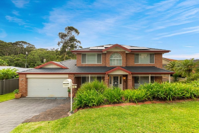 6 Watergum Place, Springfield NSW 2250