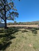 Photo - 6 Waynes Lane, Bouldercombe QLD 4702 - Image 16