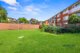 Photo - 6 Webbs Avenue, Ashfield NSW 2131 - Image 3