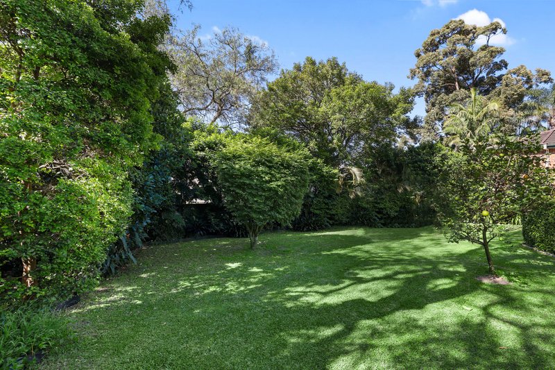 Photo - 6 Whitney Street, Mona Vale NSW 2103 - Image 7