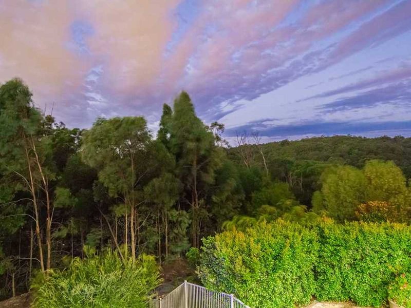 Photo - 6 Wilcox Close, Reedy Creek QLD 4227 - Image 23