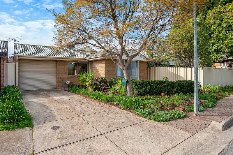 6 Wilkinson Court, Enfield SA 5085