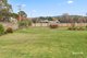 Photo - 6 William Street, Bothwell TAS 7030 - Image 24