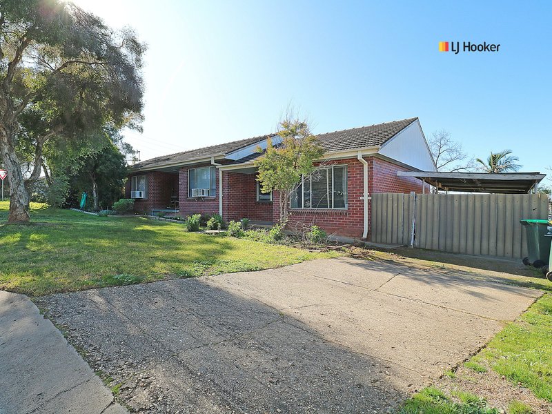 Photo - 6 Wilson Street, Kooringal NSW 2650 - Image 2