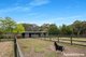 Photo - 6 Wirrah Close, Nowra Hill NSW 2540 - Image 20