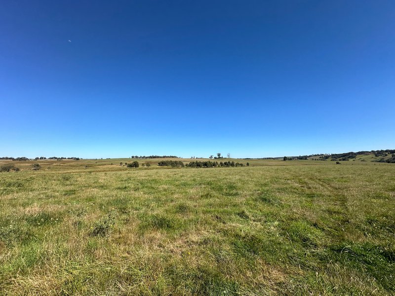 Photo - 6 Wolseley Park Road, Tumbarumba NSW 2653 - Image 12