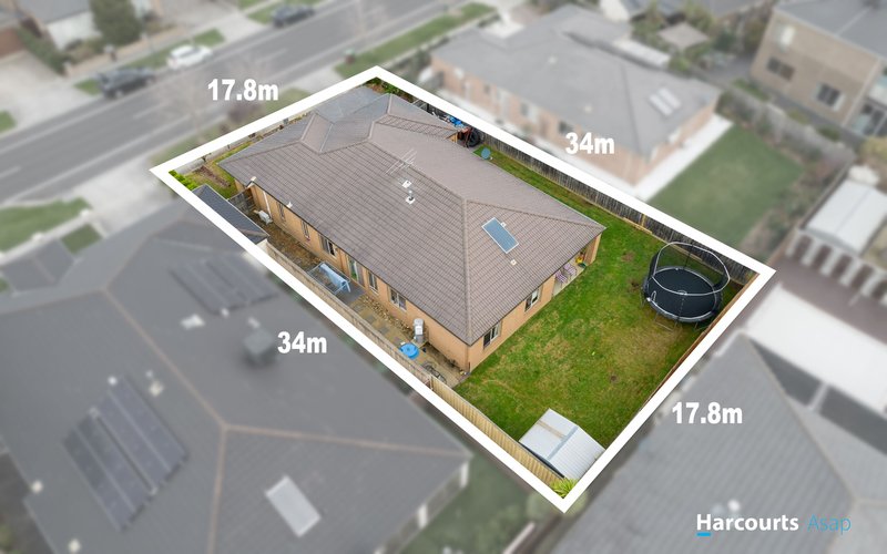 Photo - 6 Wurundjeri Boulevard, Berwick VIC 3806 - Image 13