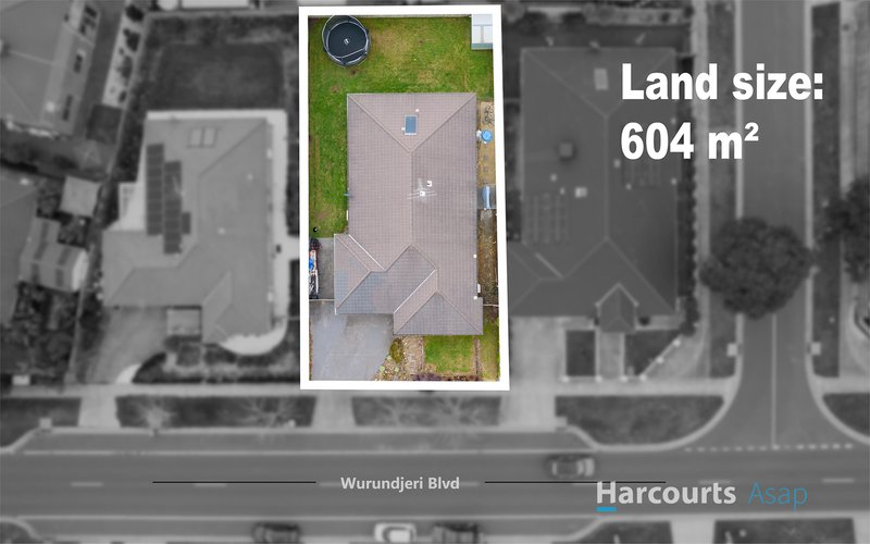 Photo - 6 Wurundjeri Boulevard, Berwick VIC 3806 - Image 14