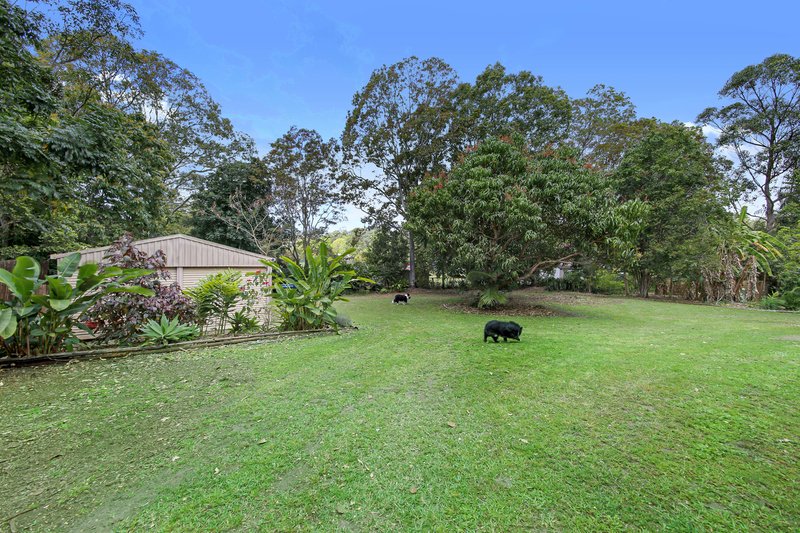 Photo - 60 Andersen Road, Diamond Valley QLD 4553 - Image 11