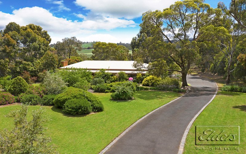 Photo - 60 Belvoir Park Road, Ravenswood VIC 3453 - Image 1