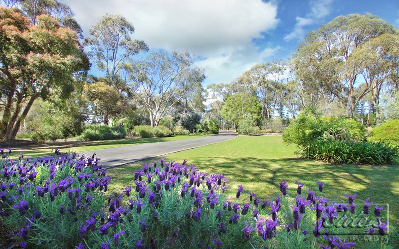 Photo - 60 Belvoir Park Road, Ravenswood VIC 3453 - Image 6