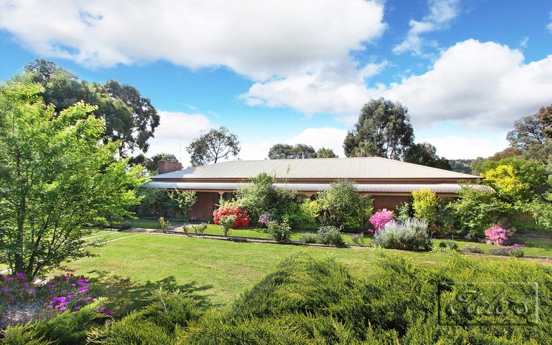 Photo - 60 Belvoir Park Road, Ravenswood VIC 3453 - Image 8