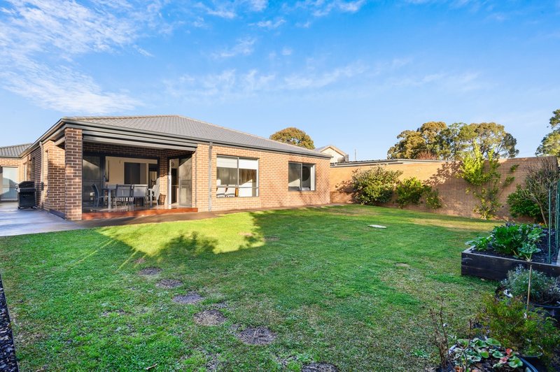 Photo - 60 Betula Avenue, Vermont VIC 3133 - Image 13