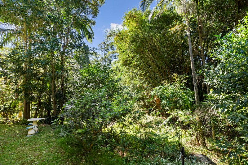 Photo - 60 Bluegum Court, Crabbes Creek NSW 2483 - Image 28