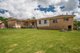 Photo - 60 Bobs Range Road, Orangeville NSW 2570 - Image 10