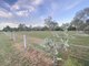 Photo - 60 Bowden Road, Black River QLD 4818 - Image 1