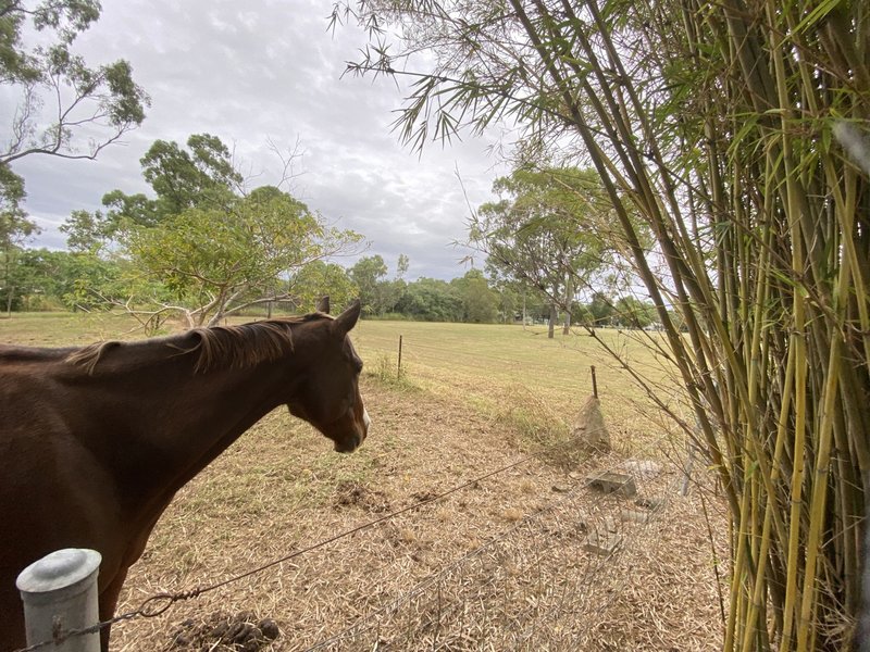 Photo - 60 Bowden Road, Black River QLD 4818 - Image 22