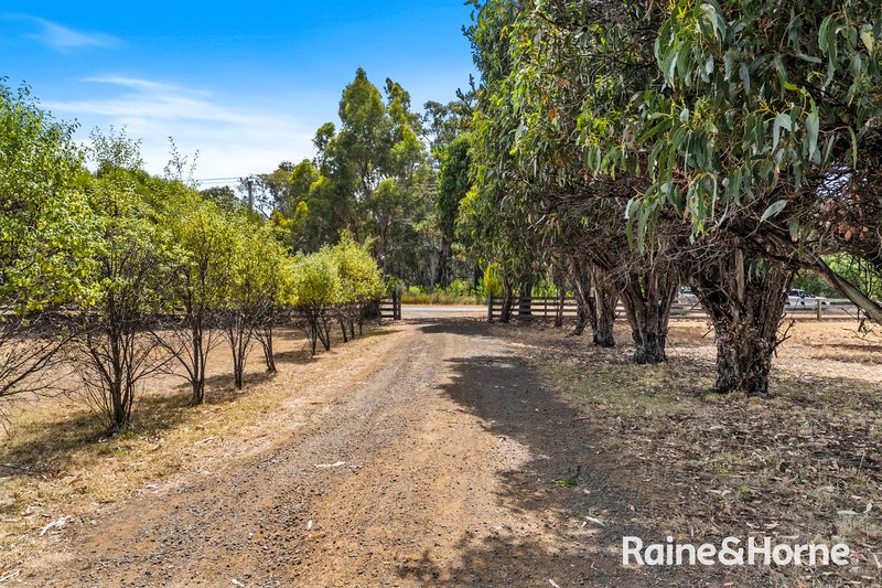 Photo - 60 Boyle Street, Triabunna TAS 7190 - Image 5