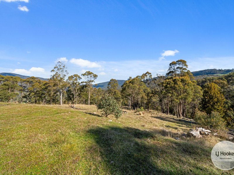 Photo - 60 Briers Road, Lachlan TAS 7140 - Image 5