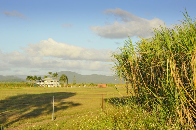 Photo - 60 Casswell Road, Proserpine QLD 4800 - Image 8