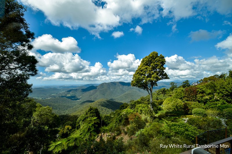 60 Coomera Gorge Drive, Tamborine Mountain QLD 4272