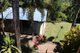 Photo - 60 Country Road, Cannonvale QLD 4802 - Image 26