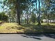 Photo - 60 Curlew Terrace, River Heads QLD 4655 - Image 5