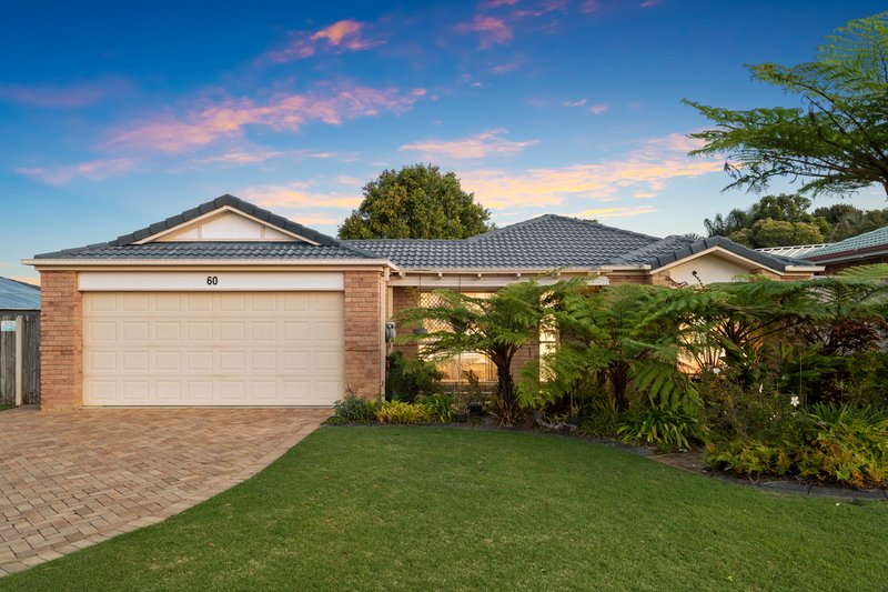 Photo - 60 Dampier Crescent, Drewvale QLD 4116 - Image 1