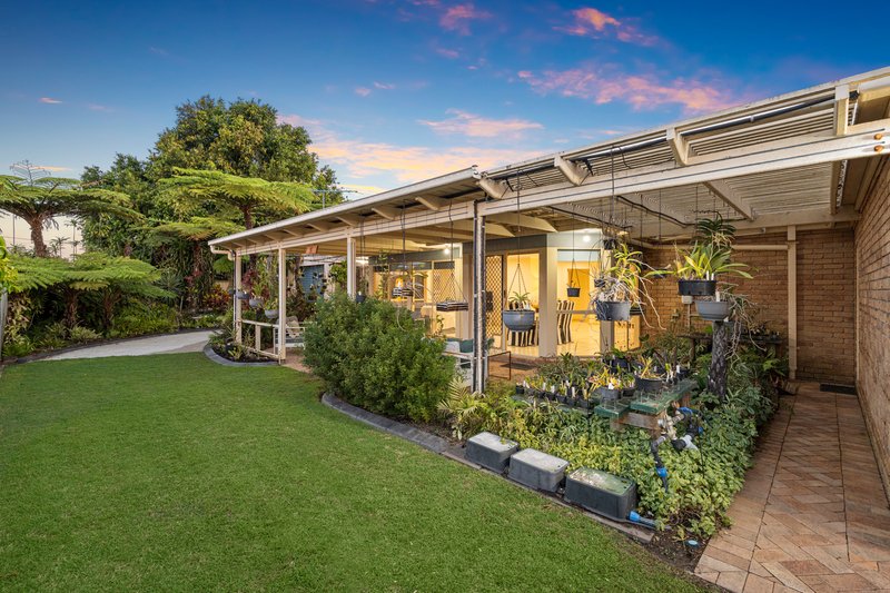 Photo - 60 Dampier Crescent, Drewvale QLD 4116 - Image 21