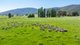 Photo - 60 Darmodys Road, Leneva VIC 3691 - Image 1