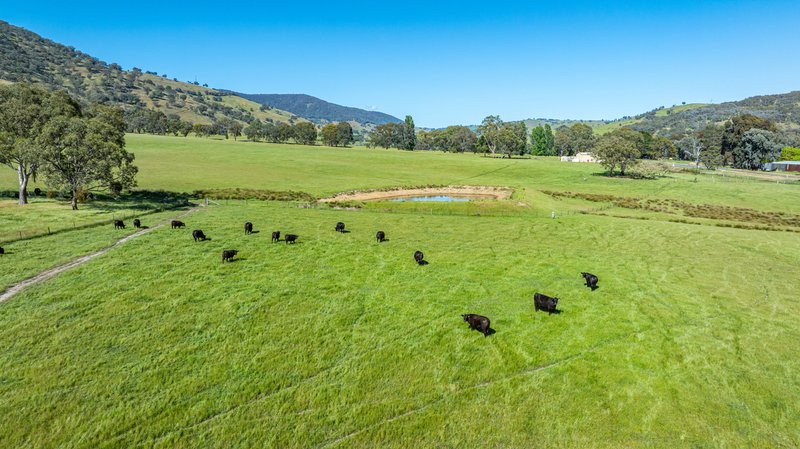 Photo - 60 Darmodys Road, Leneva VIC 3691 - Image 4