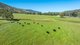 Photo - 60 Darmodys Road, Leneva VIC 3691 - Image 4