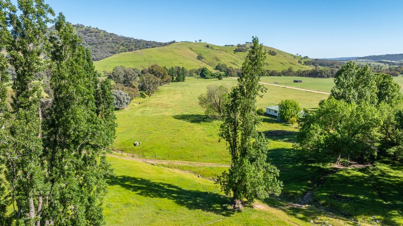 Photo - 60 Darmodys Road, Leneva VIC 3691 - Image 5