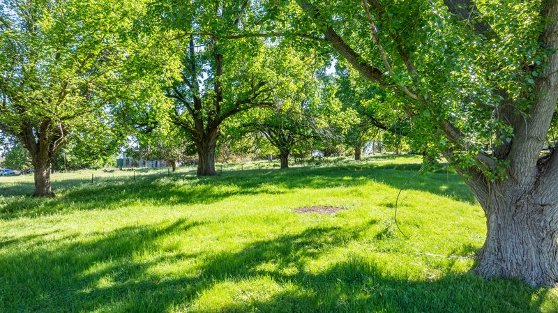 Photo - 60 Darmodys Road, Leneva VIC 3691 - Image 6