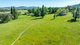 Photo - 60 Darmodys Road, Leneva VIC 3691 - Image 7