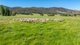 Photo - 60 Darmodys Road, Leneva VIC 3691 - Image 14