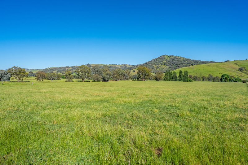 Photo - 60 Darmodys Road, Leneva VIC 3691 - Image 17