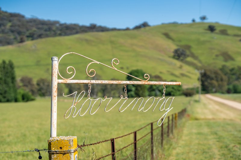 Photo - 60 Darmodys Road, Leneva VIC 3691 - Image 18