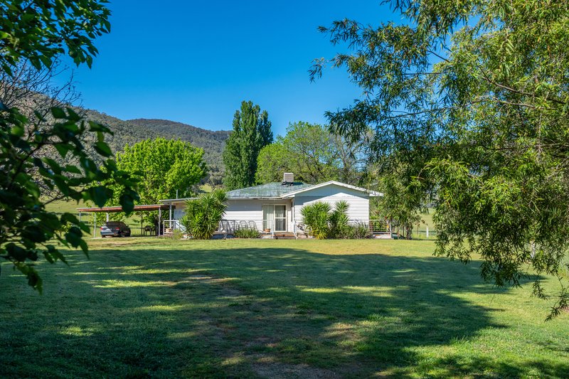 Photo - 60 Darmodys Road, Leneva VIC 3691 - Image 19