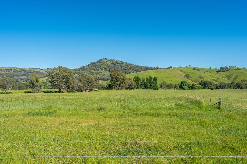 Photo - 60 Darmodys Road, Leneva VIC 3691 - Image 22