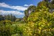 Photo - 60 Deviation Road, Penguin TAS 7316 - Image 31