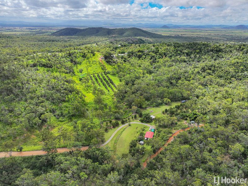 Photo - 60 Dodds Lane, The Caves QLD 4702 - Image 4