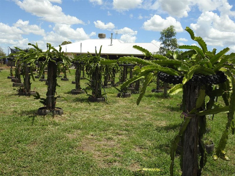 Photo - 60 Katherine Street, Dalby QLD 4405 - Image 7