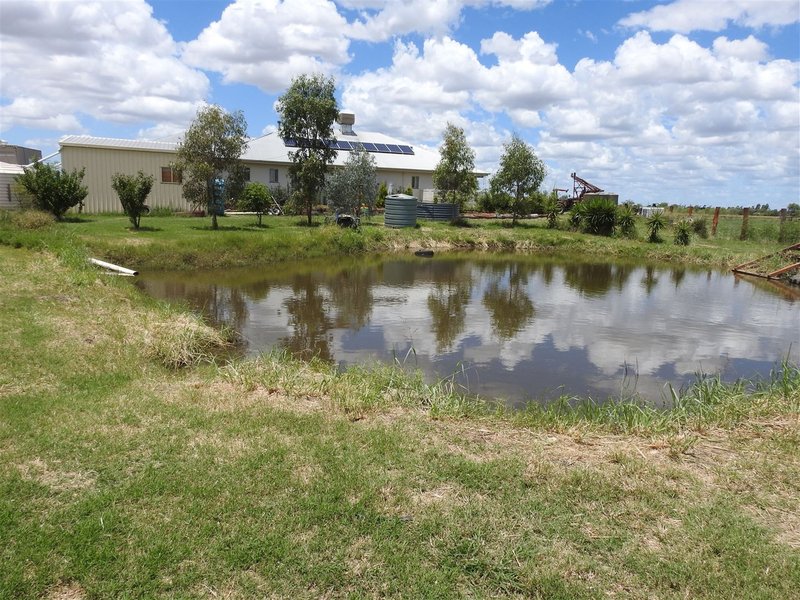 Photo - 60 Katherine Street, Dalby QLD 4405 - Image 15