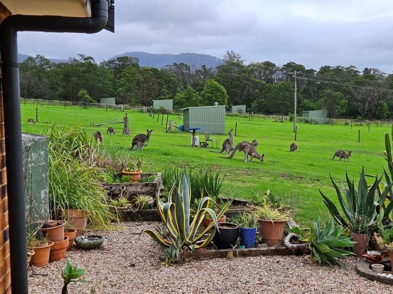 Photo - 60 Mount Scanzi Road, Kangaroo Valley NSW 2577 - Image 2